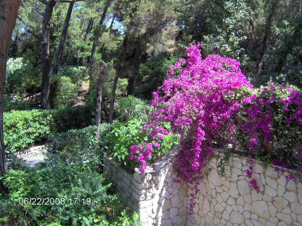 Residence Casa Di Caccia Marina Di Bibbona Εξωτερικό φωτογραφία