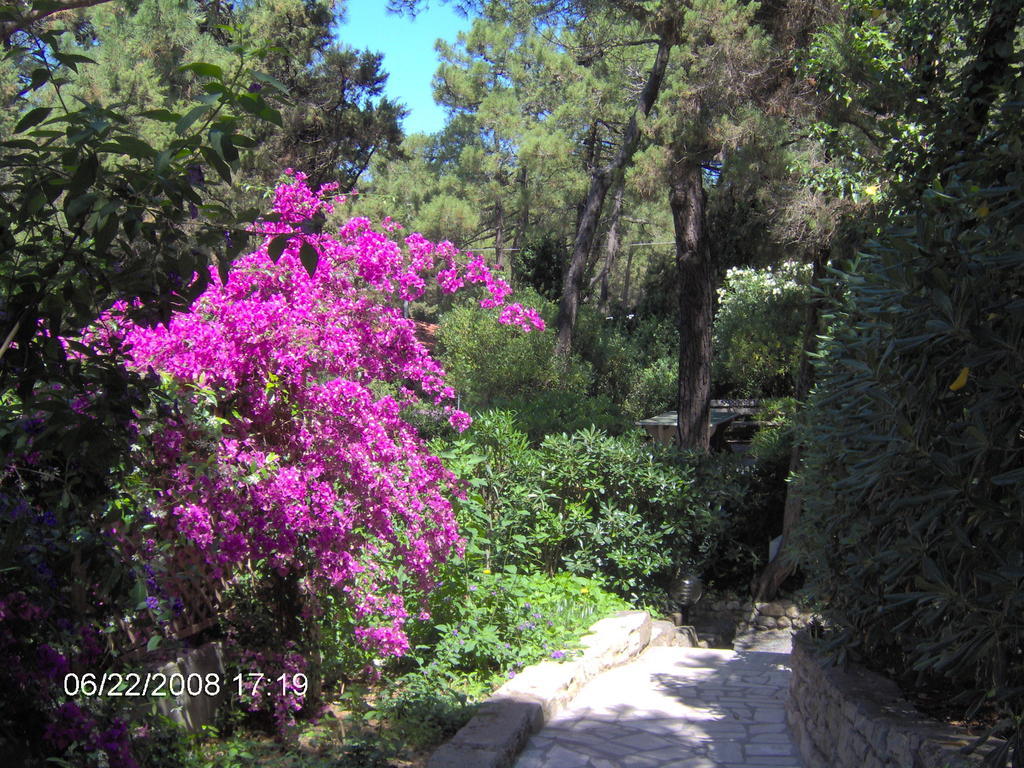 Residence Casa Di Caccia Marina Di Bibbona Εξωτερικό φωτογραφία